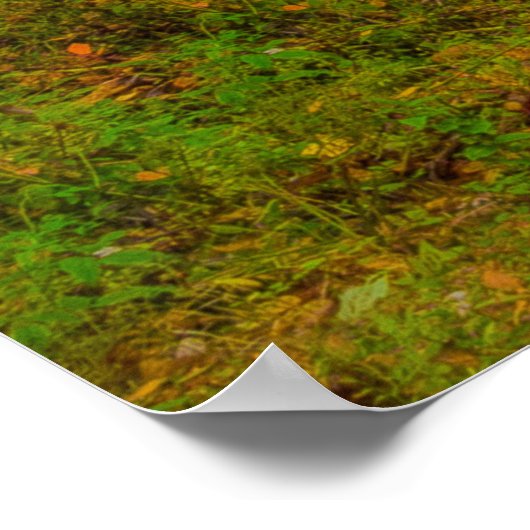 Dry Falls North Carolina Poster (Ecke)