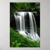 Dry Falls Poster (Vorne)
