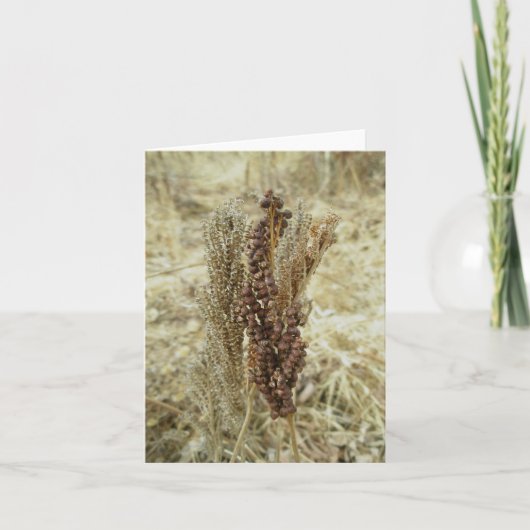 Dry Fern Note Card Feiertagskarte (Vorderseite)