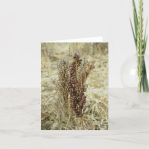 Dry Fern Note Card Feiertagskarte