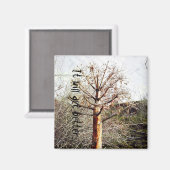 Dry Ferula Pflanze Magnet (Vorderseite/Rückseite)