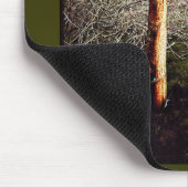 Dry Ferula Pflanze Mousepad (Ecke)