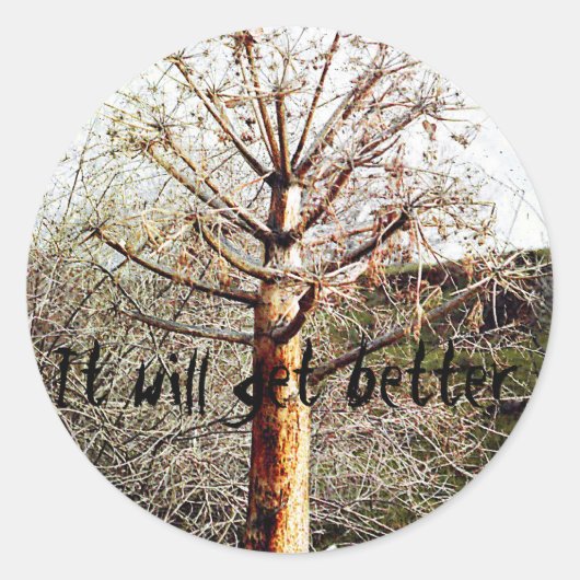 Dry Ferula Pflanze Runder Aufkleber (Vorderseite)