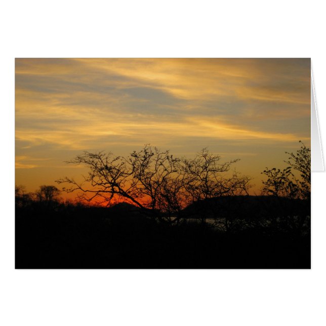 Dry Forest Sunset (Vorderseite (Horizontal))