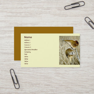 Dry Milkweed Pods Business Card Visitenkarte
