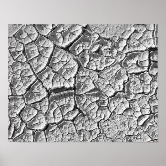 Dry Mud Flat Poster (Vorne)