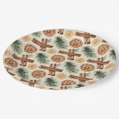 Dry Oranges Cinnamon Sticks Fir Branches Pappteller (Schrägansicht)