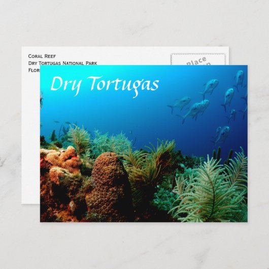 Dry Tortugas National Park, Coral Reef Postkarte (Vorne/Hinten)