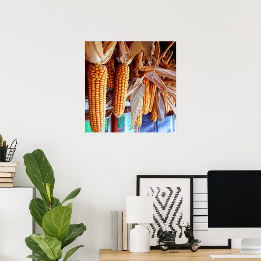 Dry Whole Ear Corn with Husks Poster (Heimbüro)