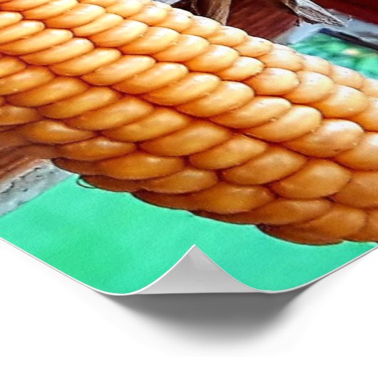 Dry Whole Ear Corn with Husks Poster (Ecke)