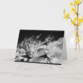 Dry wood landscape karte (Gelbe Blume)
