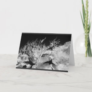 Dry wood landscape karte
