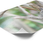 Dry Woods Fotodruck (Ecke)