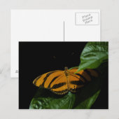 Dryad Postcard Postkarte (Vorne/Hinten)