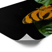 Dryad Print Poster (Ecke)
