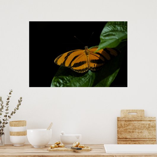 Dryad Print Poster (Küche)