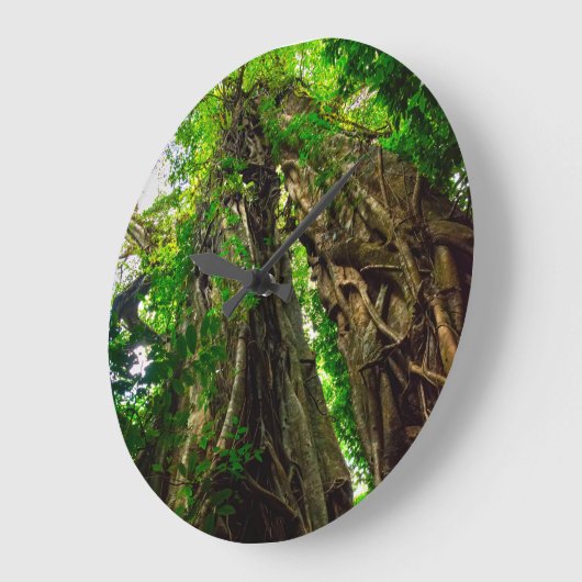 Dryad Strangler Feigenbaum Große Wanduhr (Winkel)