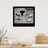 Dryden Research Aircraft Fleet on the Ramp - 1997 Poster (Küche)