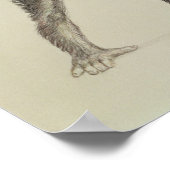 Dryopithecus Africanus Poster (Ecke)