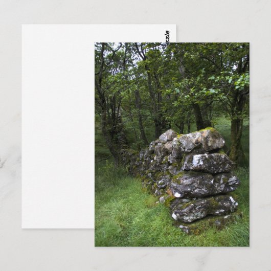 Drystone Wall Postcard Postkarte (Vorne/Hinten)