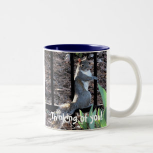 DS, der an Sie denkt! Eichhörnchen-Tasse Zweifarbige Tasse