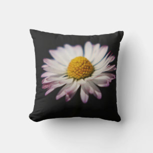 DS Sonnenblume oder Daisy tpcn Kissen