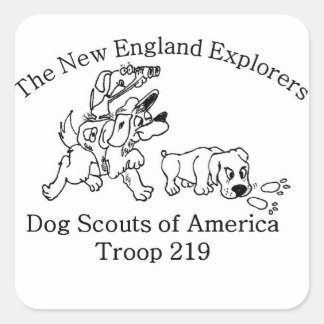 DSA-Truppenaufkleber 219 Quadratischer Aufkleber