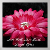 DSC00005 (2), gut leben, Liebe viel, oft lachen Poster (Vorne)