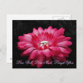 DSC00005 (2), gut leben, Liebe viel, oft lachen Postkarte (Vorne/Hinten)