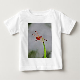 DSC00029.JPG BABY T-SHIRT