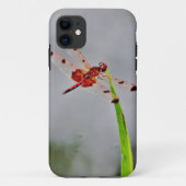 DSC00029.JPG Case-Mate iPhone HÜLLE (Rückseite)