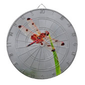 DSC00029.JPG DARTSCHEIBE (vorne)