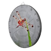 DSC00029.JPG DARTSCHEIBE (Vorderseite rechts)