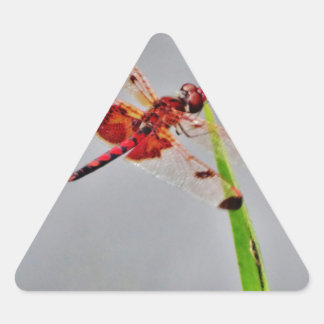 DSC00029.JPG DREIECKIGER AUFKLEBER