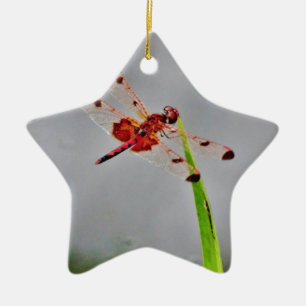 DSC00029.JPG KERAMIKORNAMENT