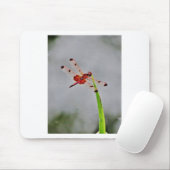 DSC00029.JPG MOUSEPAD (Mit Mouse)