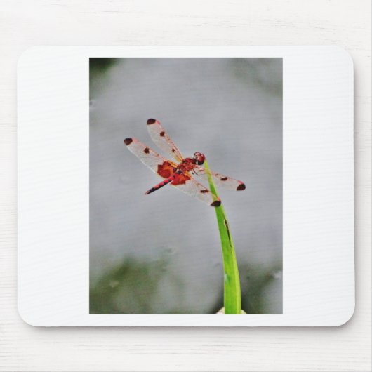 DSC00029.JPG MOUSEPAD (Vorne)