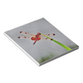 DSC00029.JPG NOTIZBLOCK (angewinkelt)