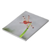 DSC00029.JPG NOTIZBLOCK (Rotiert)