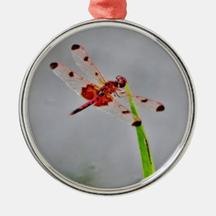 DSC00029.JPG ORNAMENT AUS METALL