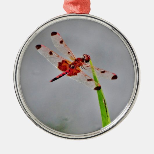 DSC00029.JPG ORNAMENT AUS METALL (Vorne)