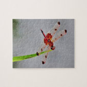 DSC00029.JPG PUZZLE (Horizontal)