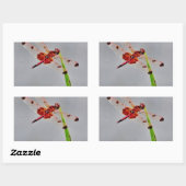 DSC00029.JPG RECHTECKIGER AUFKLEBER (Blatt)