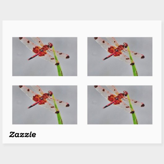 DSC00029.JPG RECHTECKIGER AUFKLEBER (Blatt)