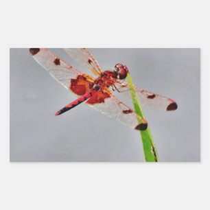 DSC00029.JPG RECHTECKIGER AUFKLEBER