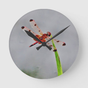 DSC00029.JPG RUNDE WANDUHR