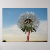 DSC00033 POSTER (Vorne)