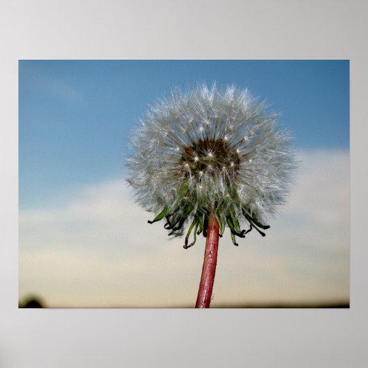 DSC00033 POSTER (Vorne)