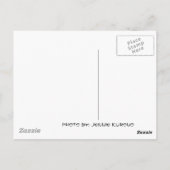 DSC00096, Kyoto, Japan, Kyoto, Japan Postkarte (Rückseite)