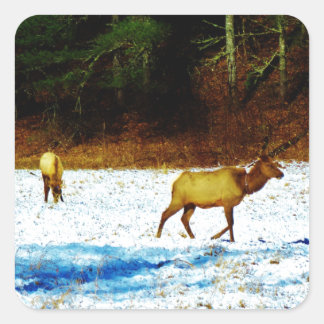 DSC00131.JPG AUFKLEBER